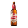 Chernigovske Pivo Světlé, plato 10°, alл. 4,6 % sklo, 500ml/20ks
