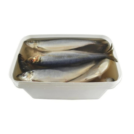 Shop Slěd malosláný v nálevu, 7 kg/10 l